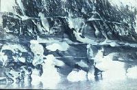 Picture for song 'Splendour (detail)' by artist 'Cinnamonia'