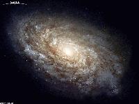 Picture for song 'Drown in You' by artist 'Circa 70'