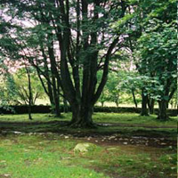 Picture for song 'Outside' by artist 'Circle of Friends'