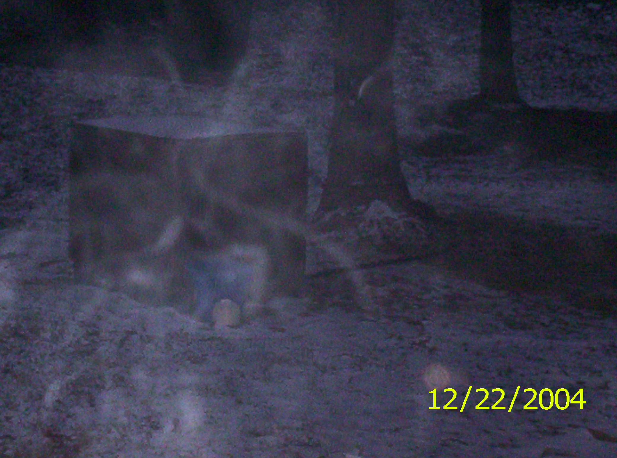 Picture for song 'The Blame' by artist 'City Stars Ent'