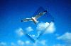 Picture for song 'Fly Away' by artist 'Cj 'Freq-X''