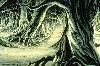 Picture for song 'Forest of the Undead' by artist 'Cj 'Freq-X''