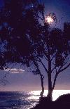 Picture for song 'waltz under the silver moon' by artist 'Cj 'Freq-X''