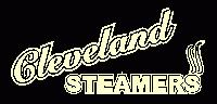 Picture for song 'Official Sponsor of Generation Y' by artist 'Cleveland Steamers'