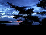 Picture for song 'Tomorrow' by artist 'Clever Tone (CT)'