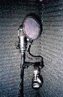 Picture for song 'Sensi' by artist 'Cleverwon ProdukshunZ'