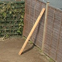 Picture for song 'This Is This' by artist 'Cliff Jones'