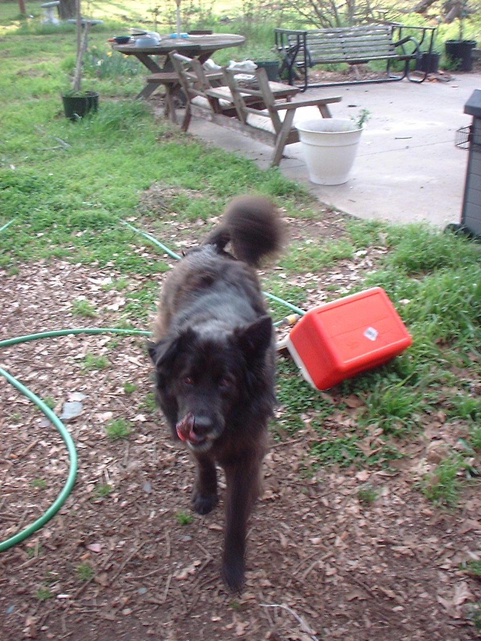 Picture for song 'The Formless Black' by artist 'Clint Niosi'