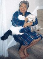 Picture for song 'MomCall-221' by artist 'Cloominati'