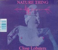 Picture for song 'Paper Thin Hotel' by artist 'Close Lobsters'