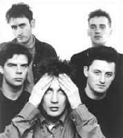 Picture for song 'Violently Pretty Face' by artist 'Close Lobsters'