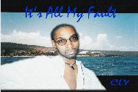 Picture for song 'It's All My Fault' by artist 'CLY'
