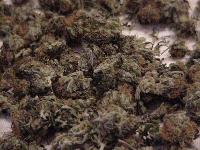 Picture for song 'Murder One' by artist 'CMills'