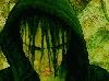 Picture for song 'Forest' by artist 'Cnamh Sagart'