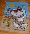 Picture for song 'Summer Daze Feat. Dusty' by artist 'Cnature'