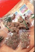 Picture for song 'Comedy Skit: Selling Larry Drugs' by artist 'Coast 2 Coast'