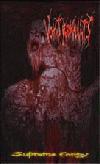 Picture for song 'Macabre Mementos' by artist 'Cock And Ball Torture'