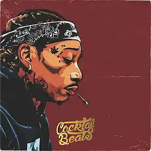Picture for song 'Birds' by artist 'Cocktail Beats'