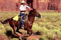 Picture for song 'Ah bejž Punca (feat. JAKA tha Cawboy)' by artist 'Code White'