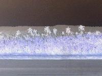 Picture for song 'If Thoughts could Kill' by artist 'Cold Fusion'