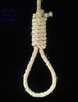 Picture for song 'The Process Of Healing (instrumental)' by artist 'Cold Velvet Blue'