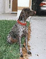 Picture for song 'Team 3, Stage 2 (Melody and Chords)' by artist 'Collaboration Mayhem'