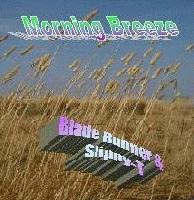 Picture for song 'Blade Runner ft Slippy - Morning Breeze' by artist 'Collaborative Incendiaries'