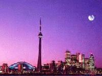 Picture for song '39th day' by artist 'Collard Greens and Hockey'