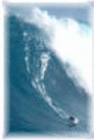 Picture for song 'Exhale!' by artist 'Collectively BOB'