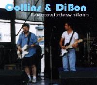 Picture for song 'Door To My Heart' by artist 'Collins and DiBon'