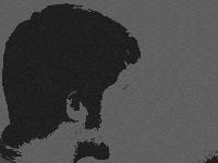 Picture for song 'An Empty Window' by artist 'Collision Within'