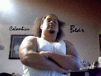 Picture for song 'Bear ft Massakre - How would life be like' by artist 'COLOMBIANO'