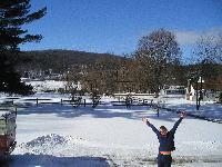 Picture for song 'orange face of the sun' by artist 'comfy'