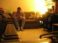 Picture for song 'tree filtered light' by artist 'comfy'