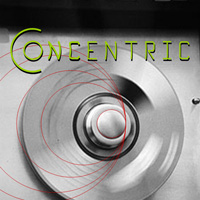 Picture for song 'Something I Probably Cannot Afford' by artist 'Concentric'