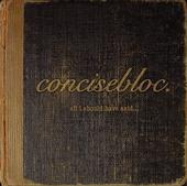 Picture for song 'glassveiw' by artist 'concisebloc'