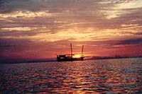 Picture for song 'Lost at sea on da junk' by artist 'ROMYZ REMAINZ Condomz and Corpsez'