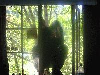Picture for song 'Monogamy Monopoly' by artist 'ROMYZ REMAINZ Condomz and Corpsez'