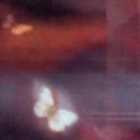 Picture for song 'helix defect (live)' by artist 'consumeobeybreed'