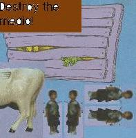 Picture for song 'remorse' by artist 'Controlled state of Delirium'