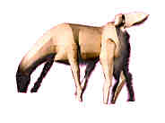 Picture for song 'liefde voor de game' by artist 'coolekikker'