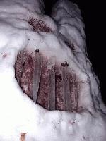 Picture for song 'CNW - Spirit (live)' by artist 'Core Northwest'