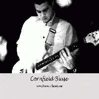 Picture for song '"Its Alright"' by artist 'cornfield'