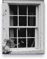 Picture for song 'get out of the window' by artist 'cory thrall'