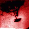Picture for song 'i've seen him' by artist 'cory thrall'