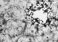 Picture for song 'mystified - union carbide (cory thrall remix)' by artist 'cory thrall'