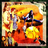 Picture for song 'Are You Afraid Of My Heart?' by artist 'Cottage Country Sound Programme'