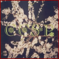 Picture for song 'Fear & Insecurity' by artist 'Cottage Country Sound Programme'