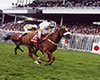 Picture for song 'Galway Races' by artist 'County Hell'
