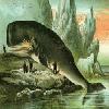 Picture for song 'Greenland Whale Fisheries' by artist 'County Hell'